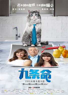 国产在线精品一区二区夜色